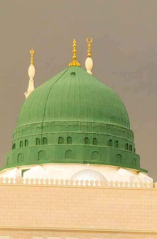 کاش! اس قبر میں میں دفن کیا جاتا.