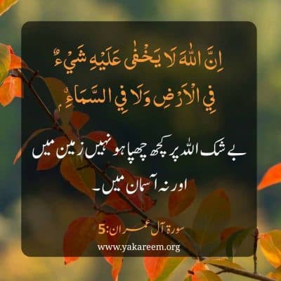 فرمودات حضرت علی رضی اللہ عنہ