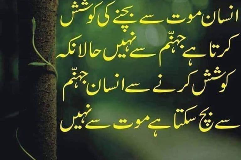 قرآن مجید کی فضیلت پر چالیس احادیث شریفہ